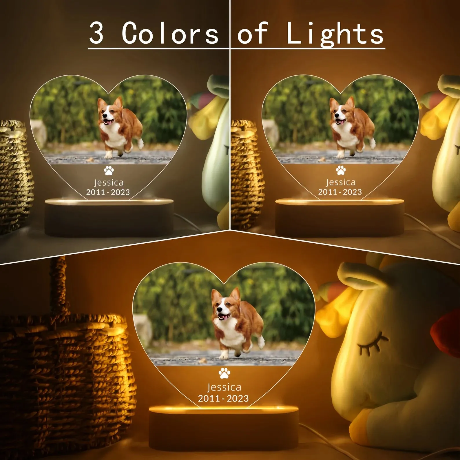 Pet Photo Memorial Night Lamp